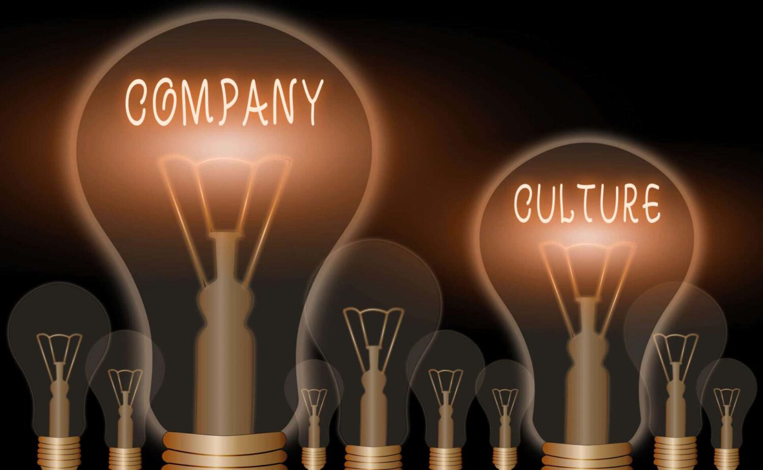 ampoules culture d'entreprise