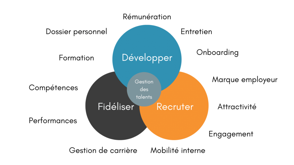 Schéma de la gestion des talents
