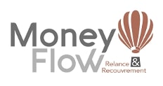 Logo Money Flow avec texte gris et montgolfière marron.