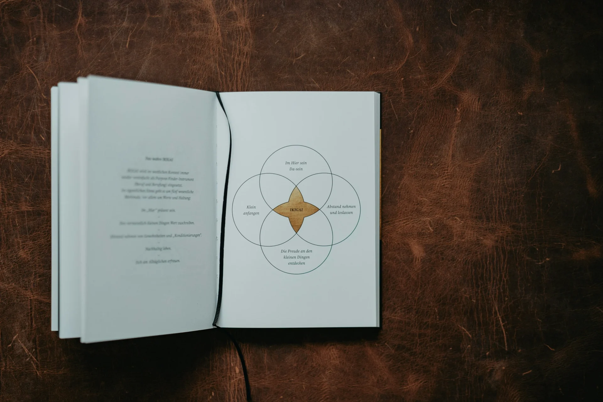 ikigai-description