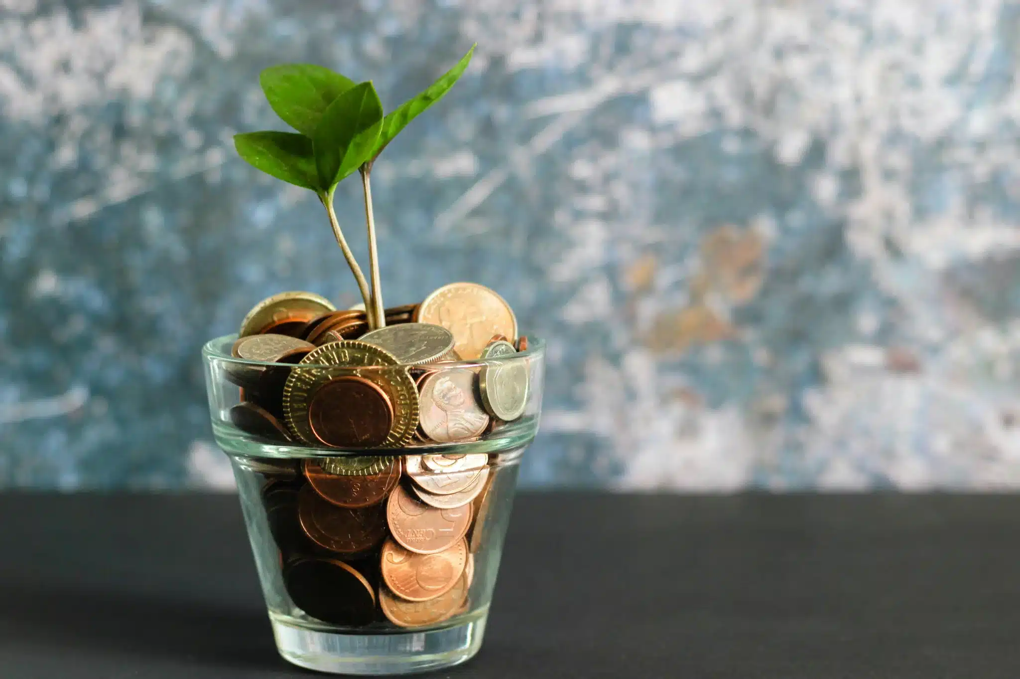 plante-verte-dans-un-vase-en-verre-transparent